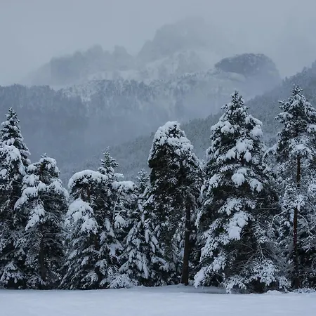 Aura De By Bevalle Gavín