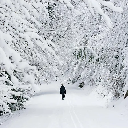 Aura De By Bevalle 公寓 Gavín