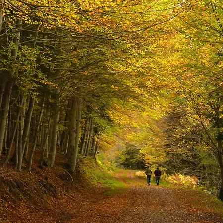 Lägenhet Aura De By Bevalle Buesa