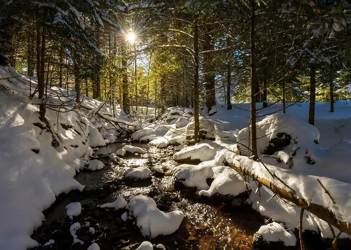 Lägenhet Aura De By Bevalle *