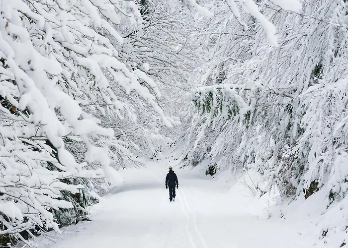 Aura De By Bevalle Lägenhet Buesa